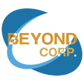 BeyondData